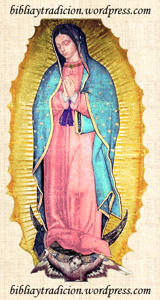 virgen de guadalupe pictures. de la Virgen de Guadalupe